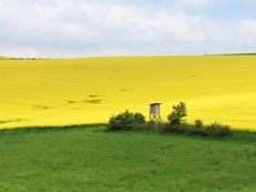 immobilienbewertung landkreis saalekreis landwirtschaft